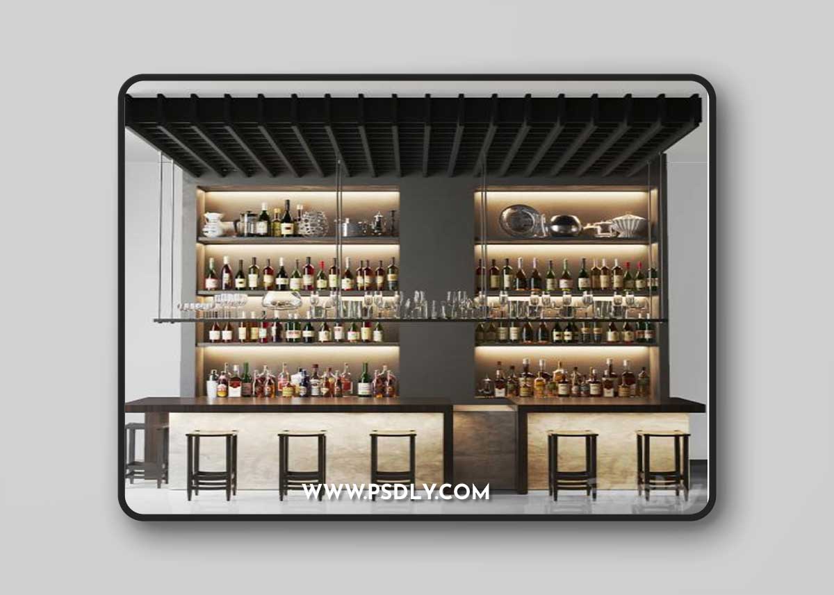 Design project of a bar with wine and sparkling. Alcohol collection. Bar