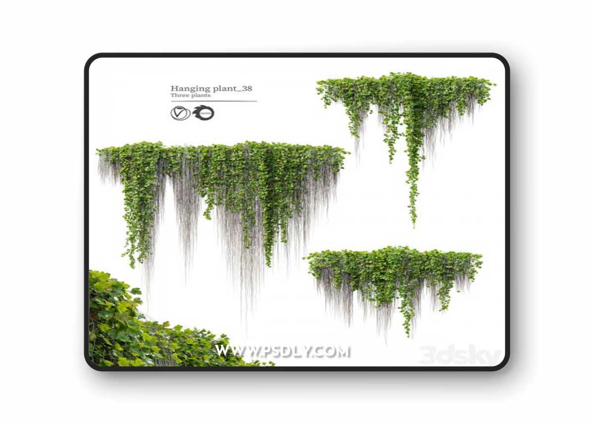 Hanging Plant 38 3D Model