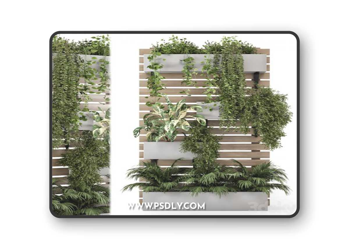 Indoor Hanging Plants in Metal Stand - Set 1131