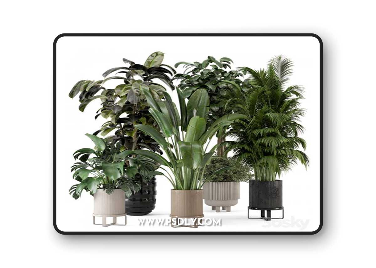 Indoor Plants in Ferm Living Bau Pot Large - Set 548