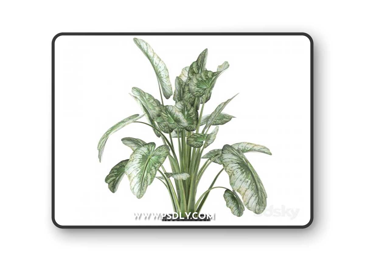 Indoor Plants in Metal Pot - Set 842