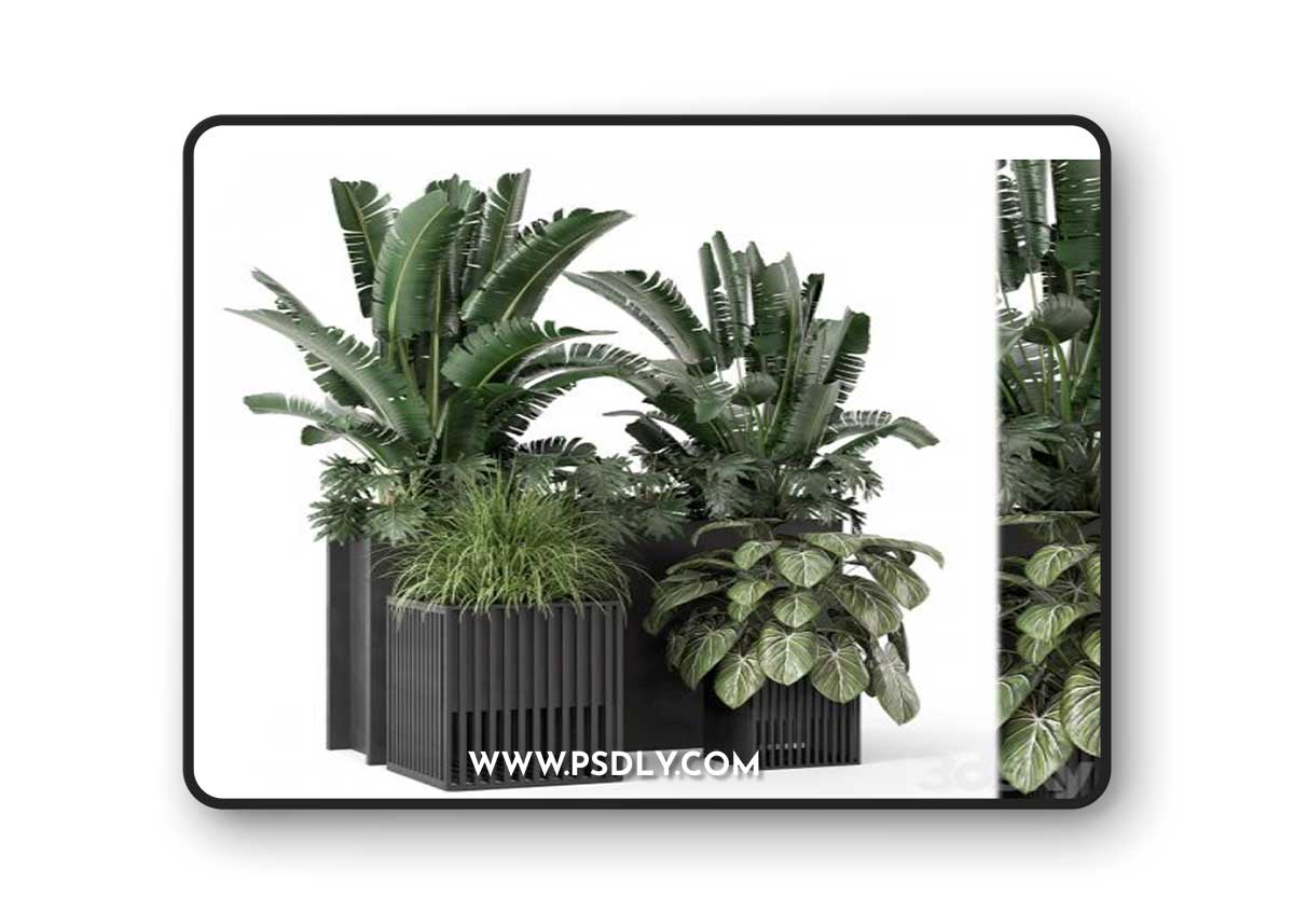 Outdoor Plants Bush in Metal Pot - Set 1074
