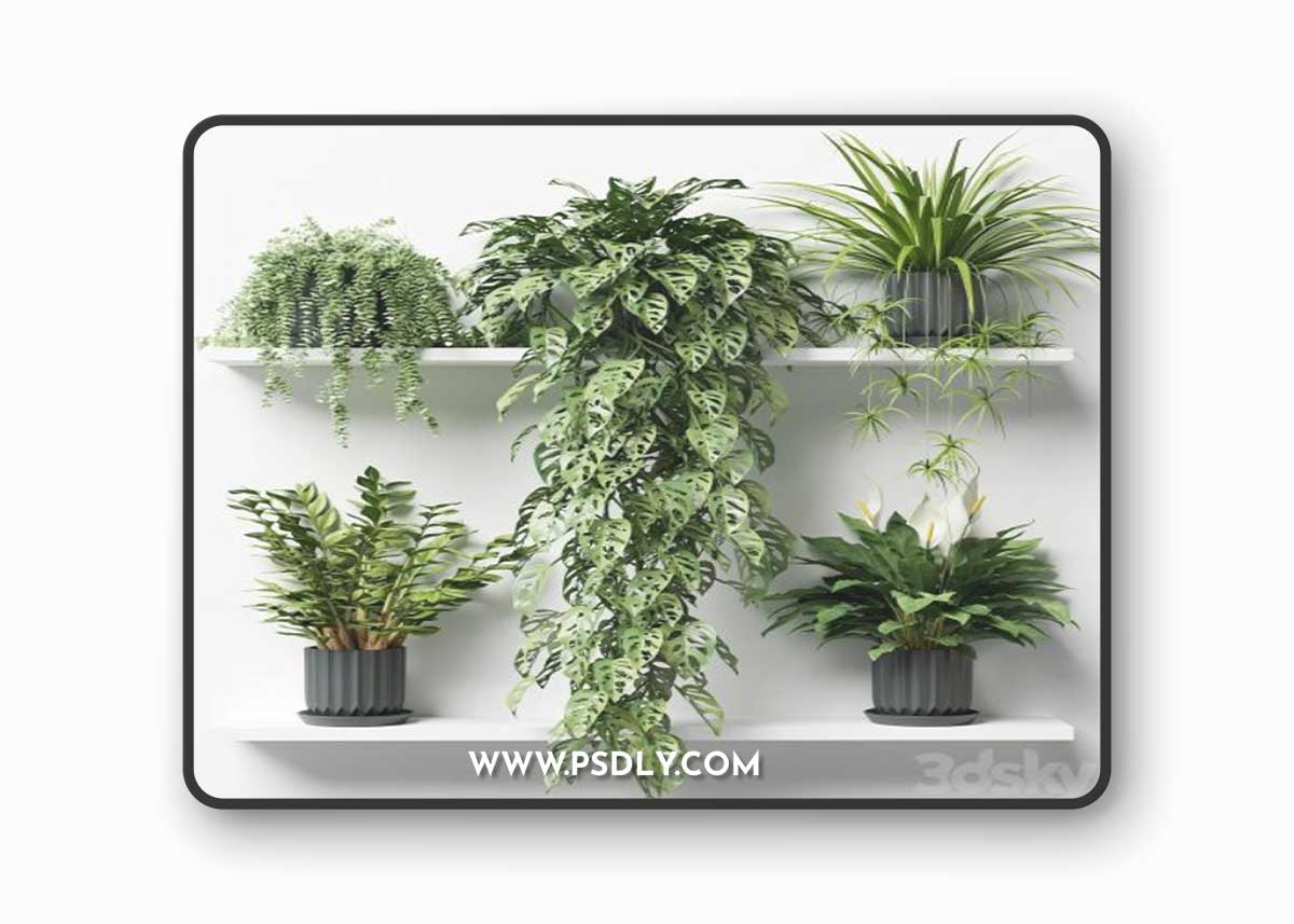 Plants on a shelf in ribbed pots 3D Model