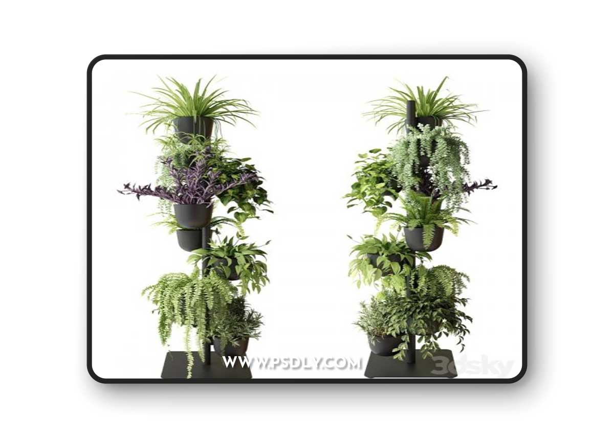Rack with indoor plants in pots 3D Model