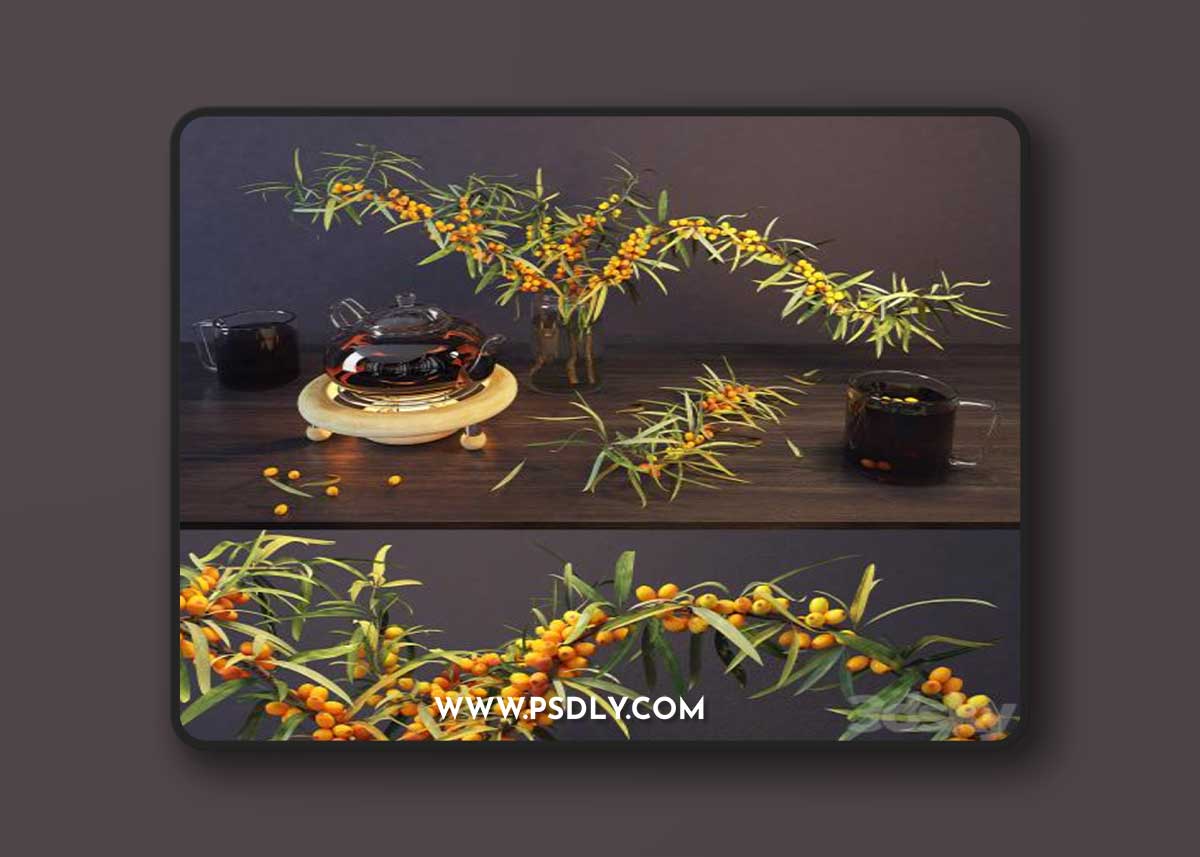 Sea buckthorn and kettle 3D Model