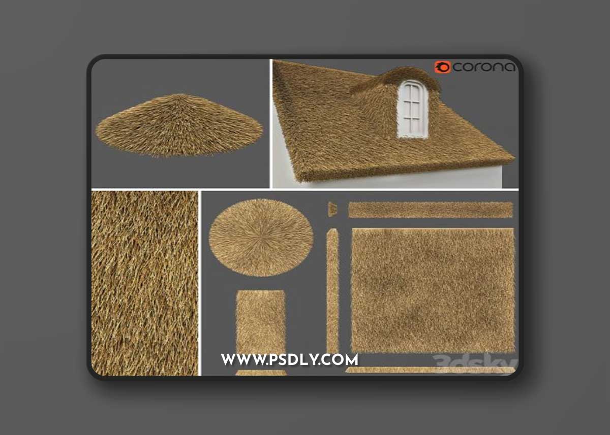 Thatched roof set / Thatched roof. Constructor