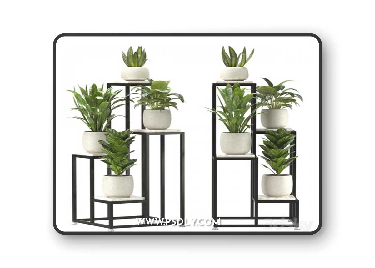 Collection Indoor Plants Set Nim08