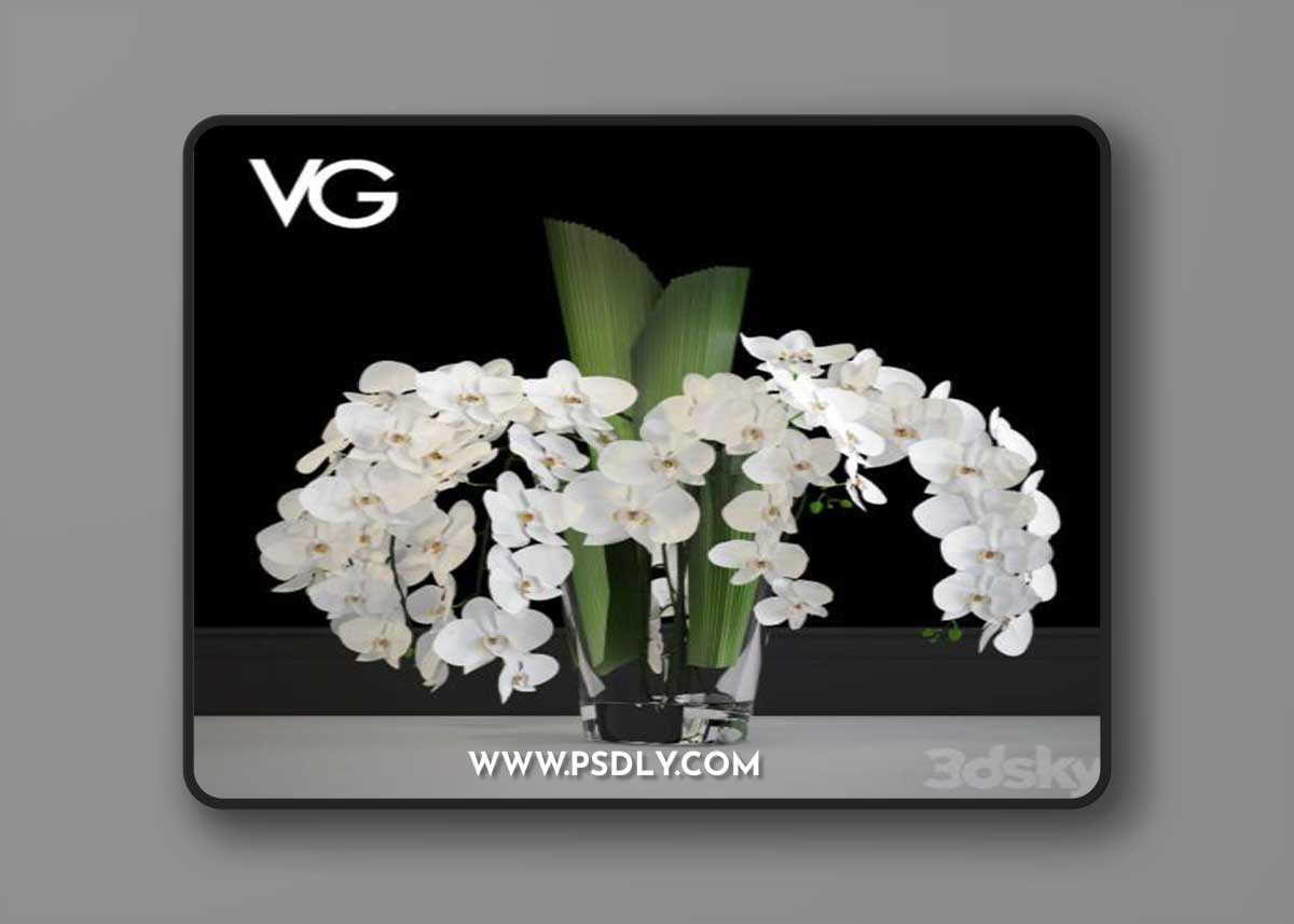 Decorative arrangement of orchids VG