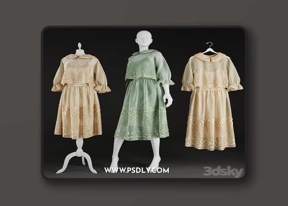 Dresses on a hanger and on mannequins