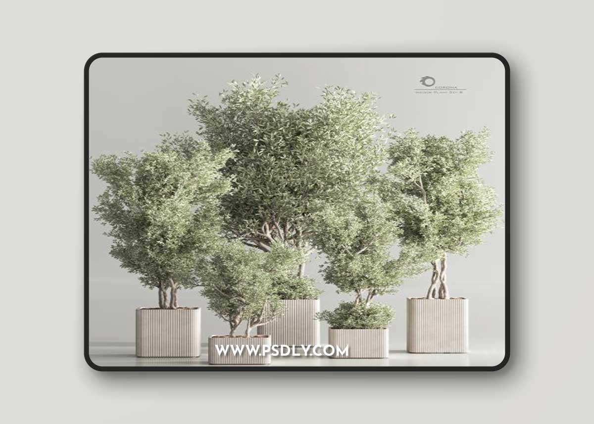Indoor Plant Set 82 3D Model