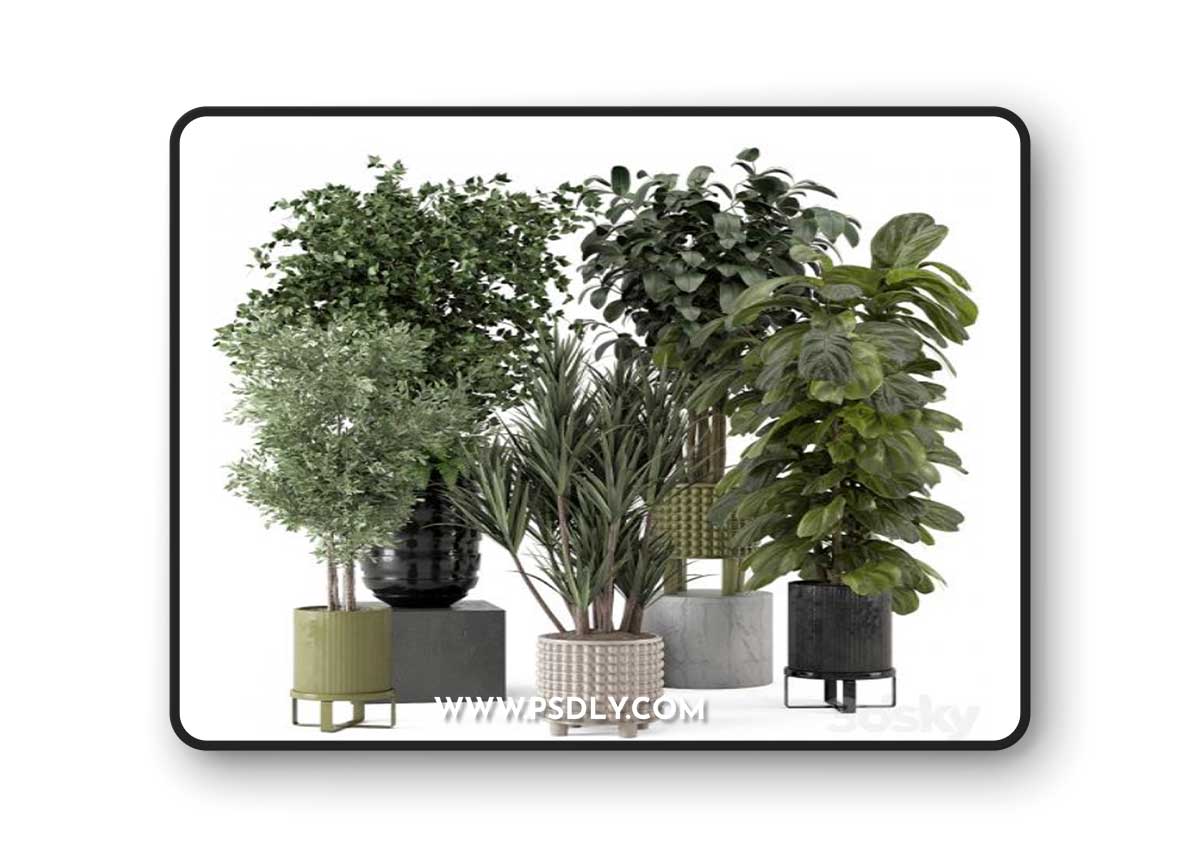 Indoor Plants in Ferm Living Bau Pot Large - Set 1053