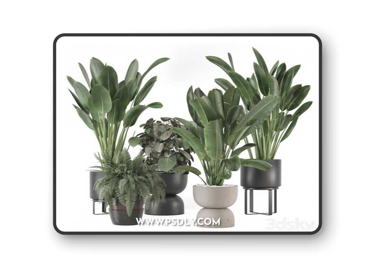 Indoor Plants in Ferm Living Bau Pot Large - Set 1256