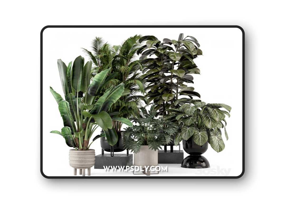 Indoor Plants in Ferm Living Bau Pot Large - Set 740