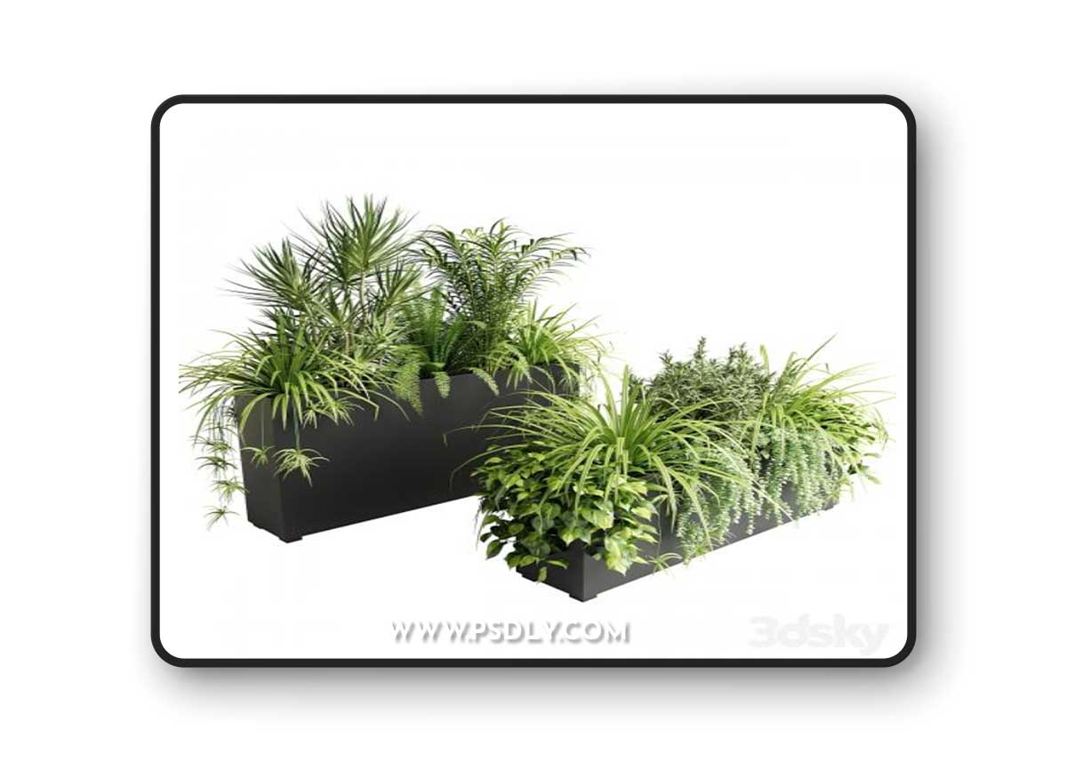 Indoor plants in outdoor boxes 3D Mdel