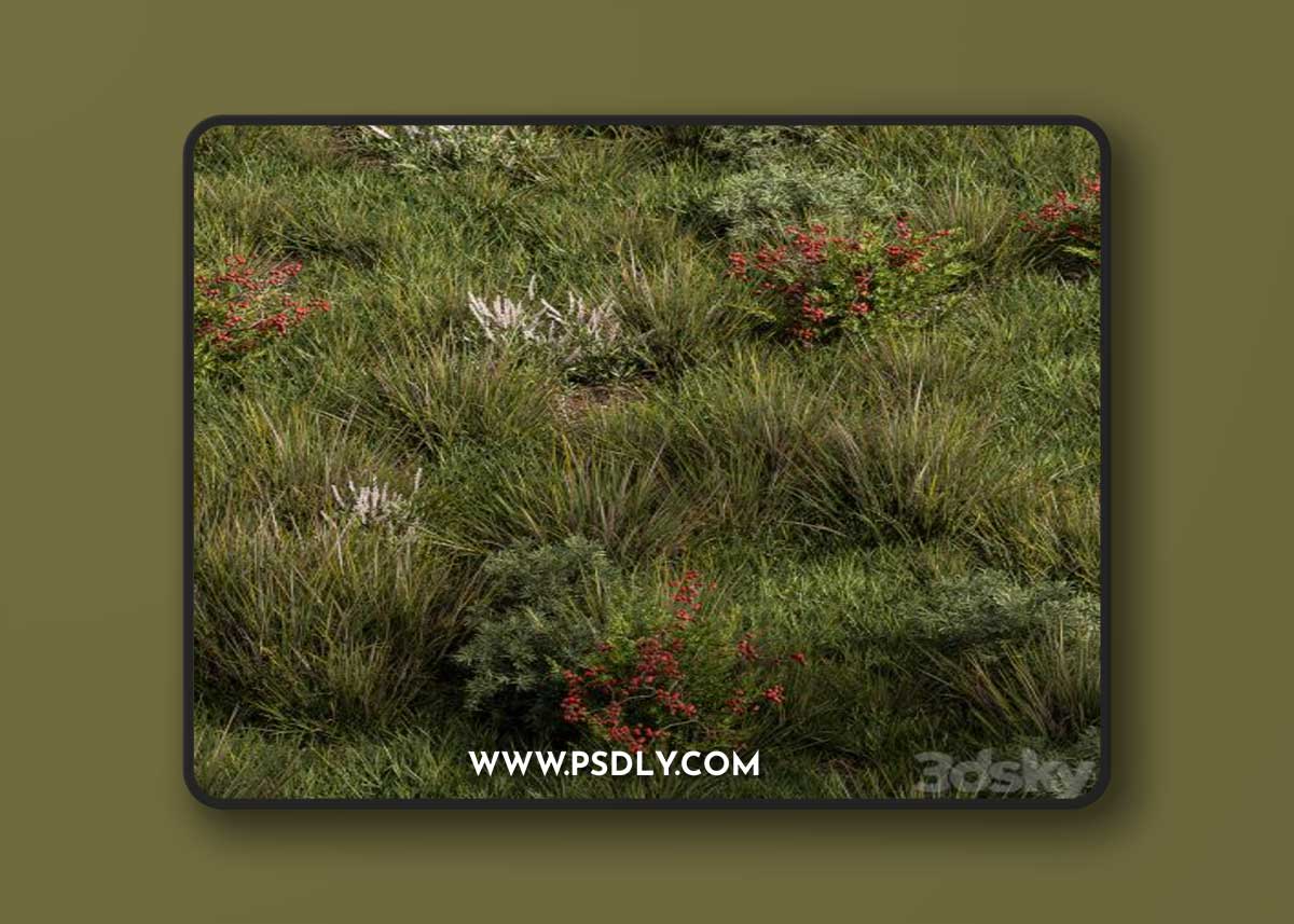 Nature Meadow - Grass Set 17