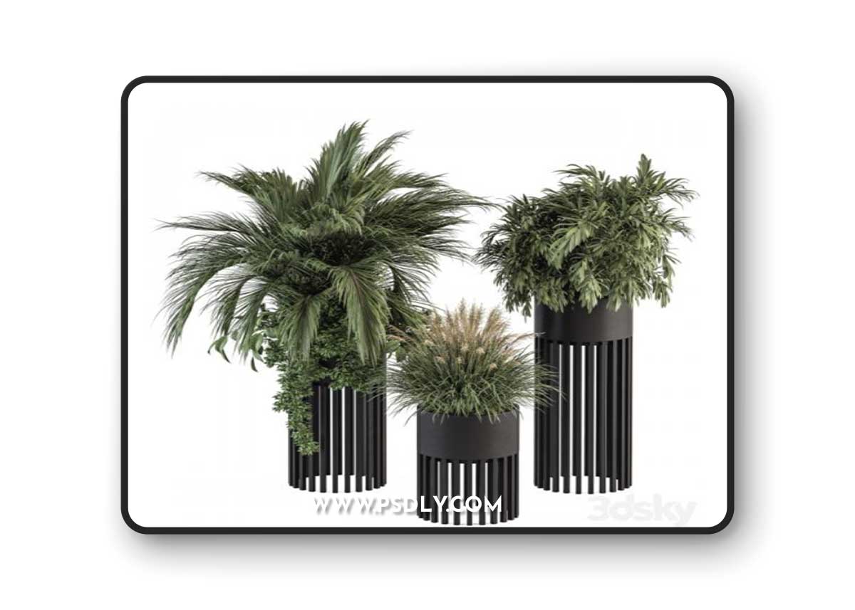 indoor Plant Set 301 - Plant Set in Round Stand Black pot