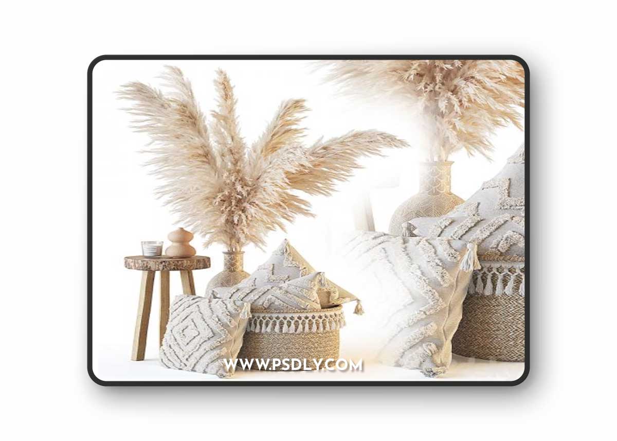Decorative set with pillows and pampas