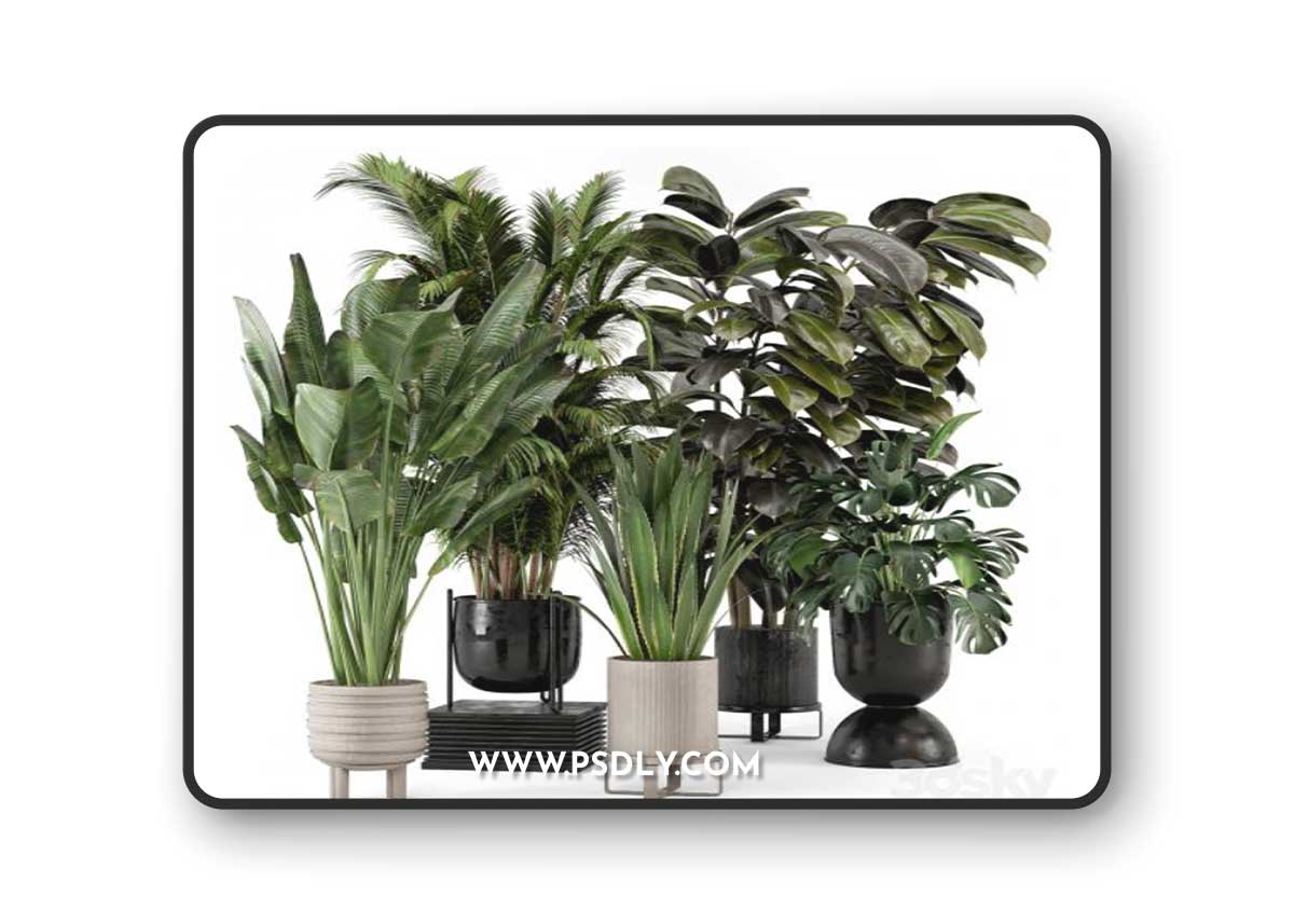 Indoor Plants in Ferm Living Bau Pot Large - Set 572