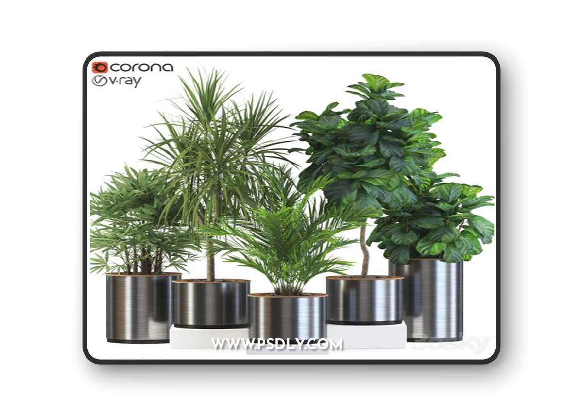 Plants collection 550 3D Model