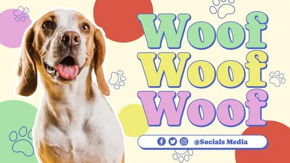 Videohive Pet Care Promo 51273108