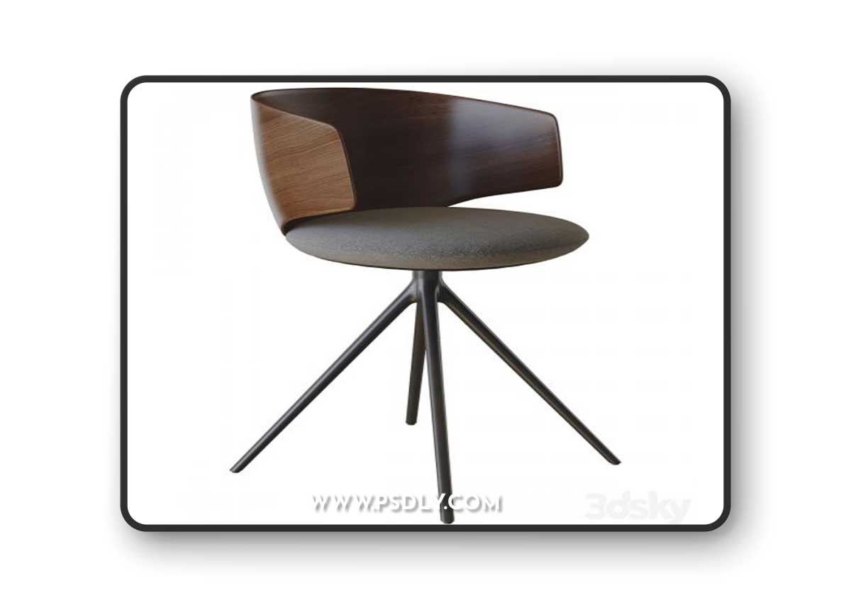 Chair universal collection wooden backrest
