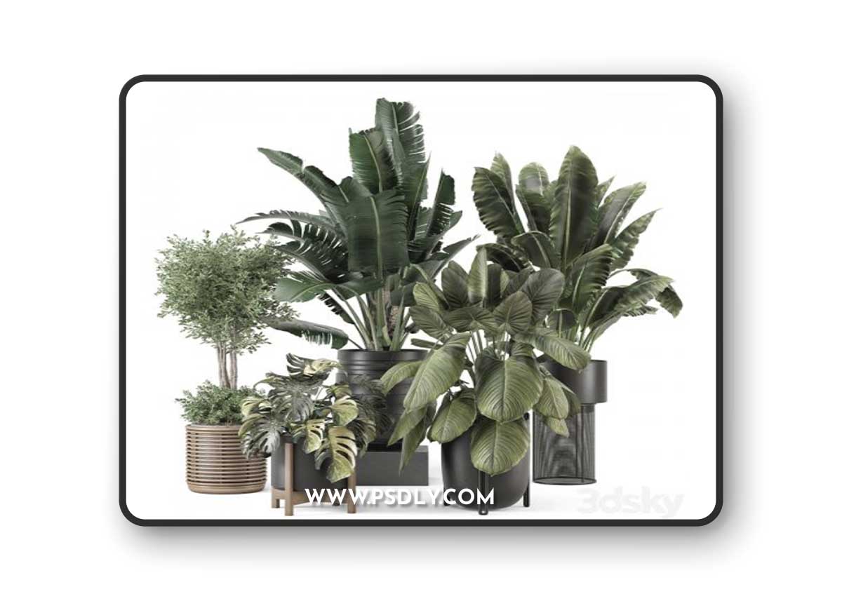 Indoor Plants in Ferm Living Bau Pot Large - Set 1665