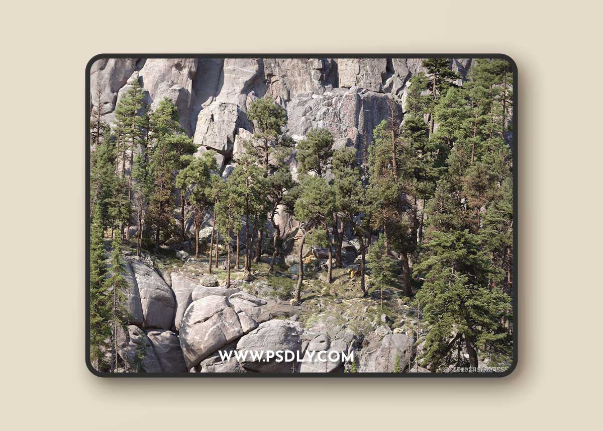 Maxtree – Plant Models Vol. 126