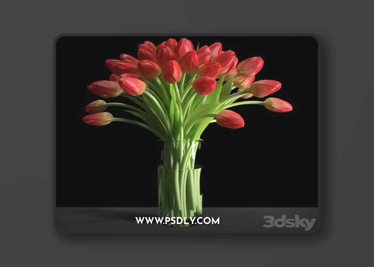 Red Tulips Red tulips 3D Model