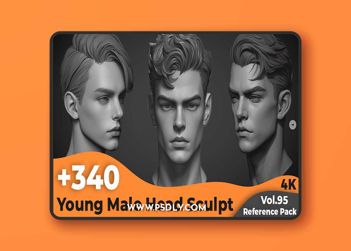 +340-Young-Male-Head-Sculpt-Reference(4k)