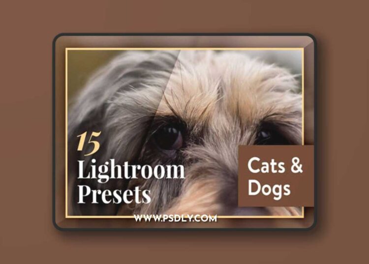 Cats and Dogs - Mobile & Desktop Lightroom Presets