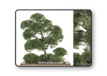 Garden set Tree and Bush - Garden Set 16
