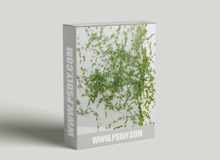 Ivy Generator Pro Blender addon 1.0.0