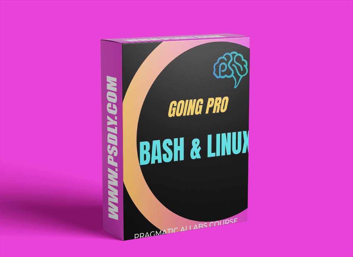 Linux and Bash: Going Pro