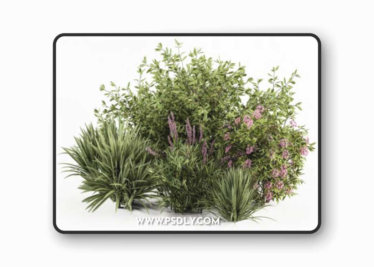 Mixed Plant Bush Green and Purple - Bush Set 50