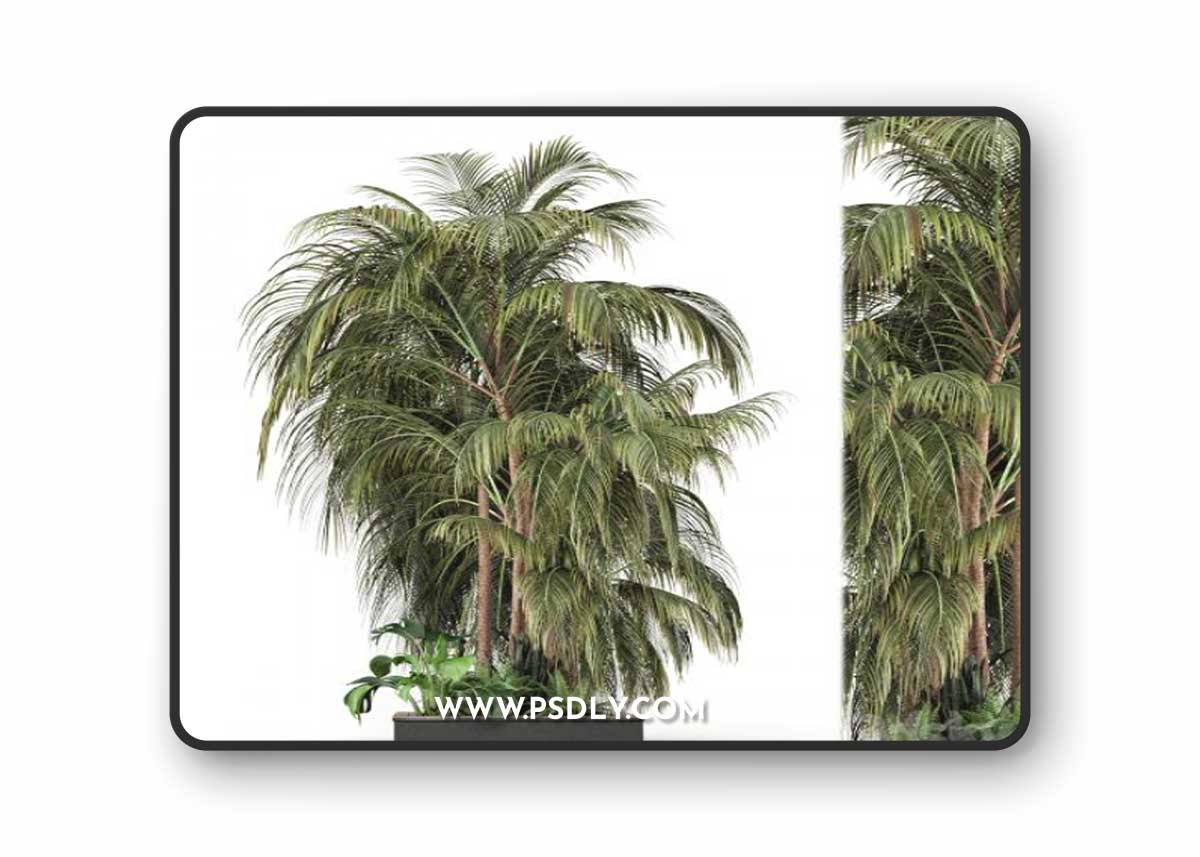 Outdoor Garden set bush and Tree - Garden Set 126