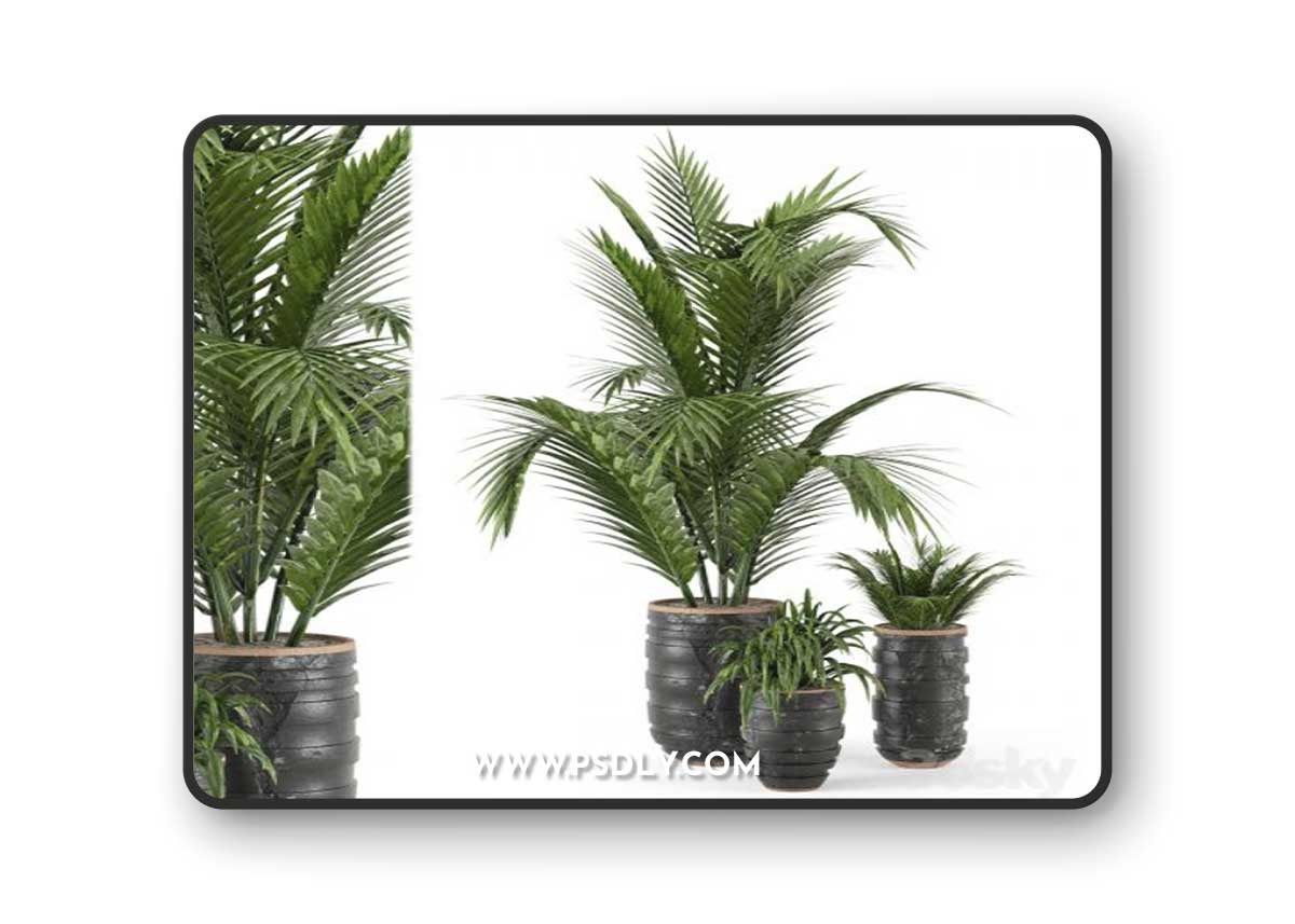 Outdoor Plants bush and Tree in rusty Concrete Pot - Set 148