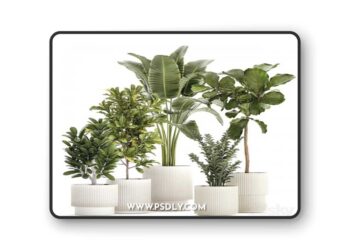 Plant collection 1407 3D