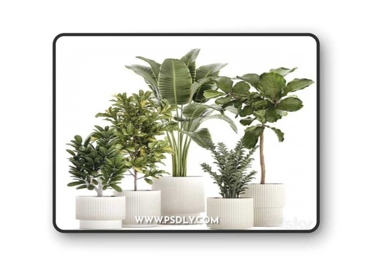 Plant collection 1407 3D