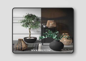 Decorative set 3D Model