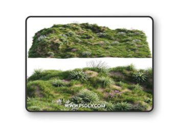 Grass on the slope 3D Model