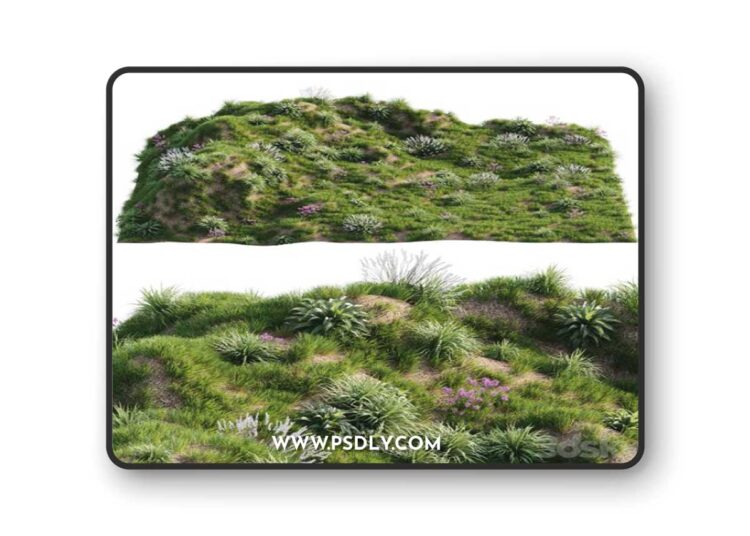 Grass on the slope 3D Model