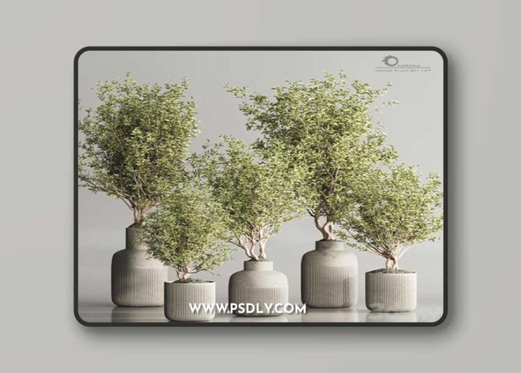Indoor Plant Set 107 3D Model