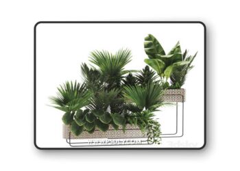 Indoor plants in box set-70 3D Model