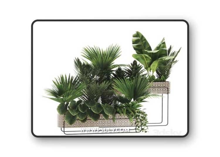 Indoor plants in box set-70 3D Model