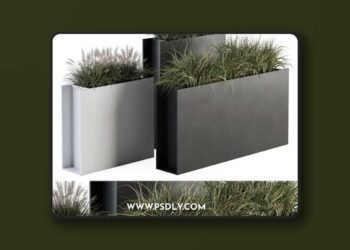 Outdoor Plant Set 288 - Grass in Plant Box