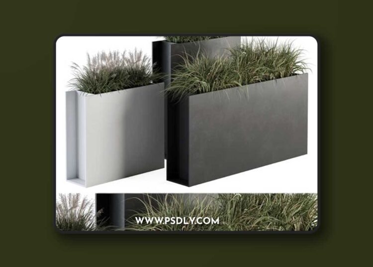 Outdoor Plant Set 288 - Grass in Plant Box