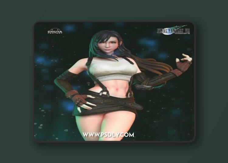 Chuya Factory – Tifa – 3D Print Model