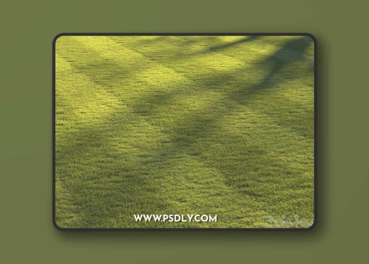 Football pitch lawn 3D Model