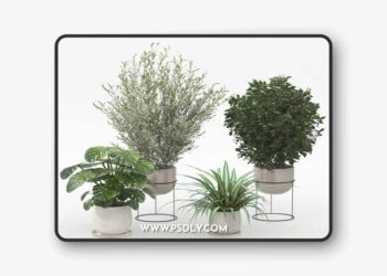 Houseplants collection (V-Ray)