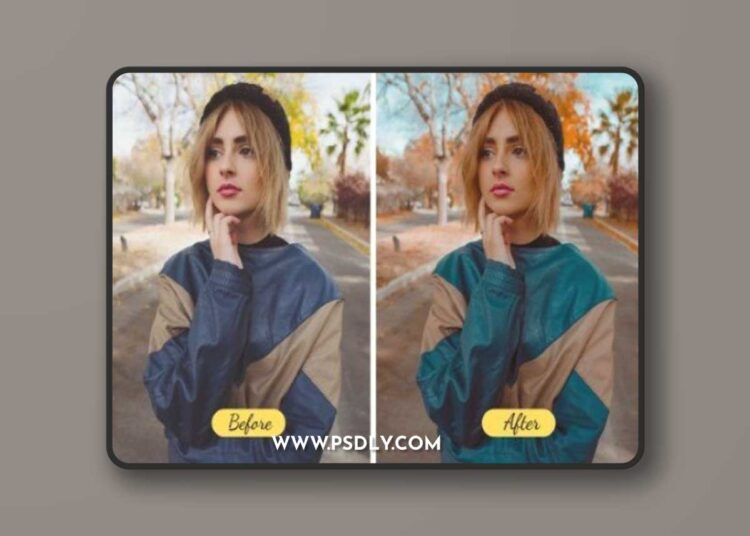Insta Bloggers Lightroom Presets & Luts